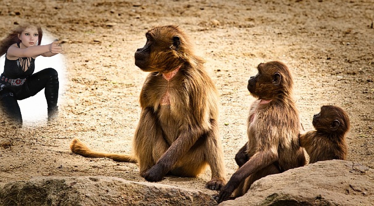 Read more about the article ‌‌‌सपने मे बंदर को मारना ,पीटना का अर्थ और फल