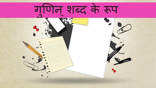 Read more about the article gunin shabd roop गुणिन् शब्द के रूप के बारे जानकारी