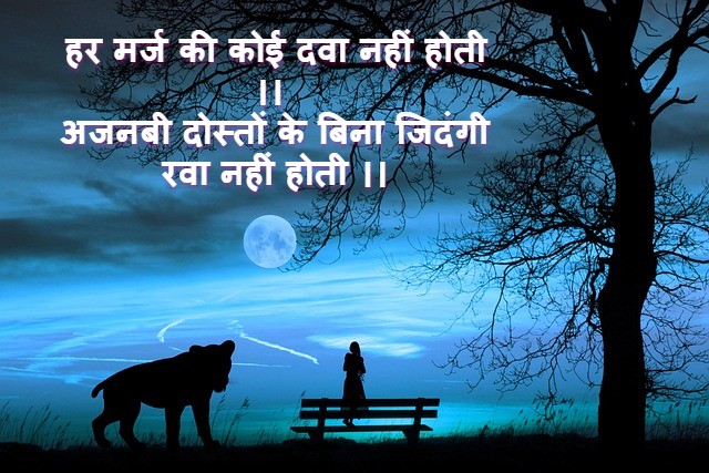 Read more about the article अनजान दोस्ती शायरी 2 line anjaan dosti shayari  टू लाइन