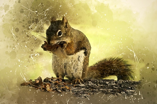 Squirrel fact ‌‌‌गिलहरी के बारे मे रोचक तथ्य