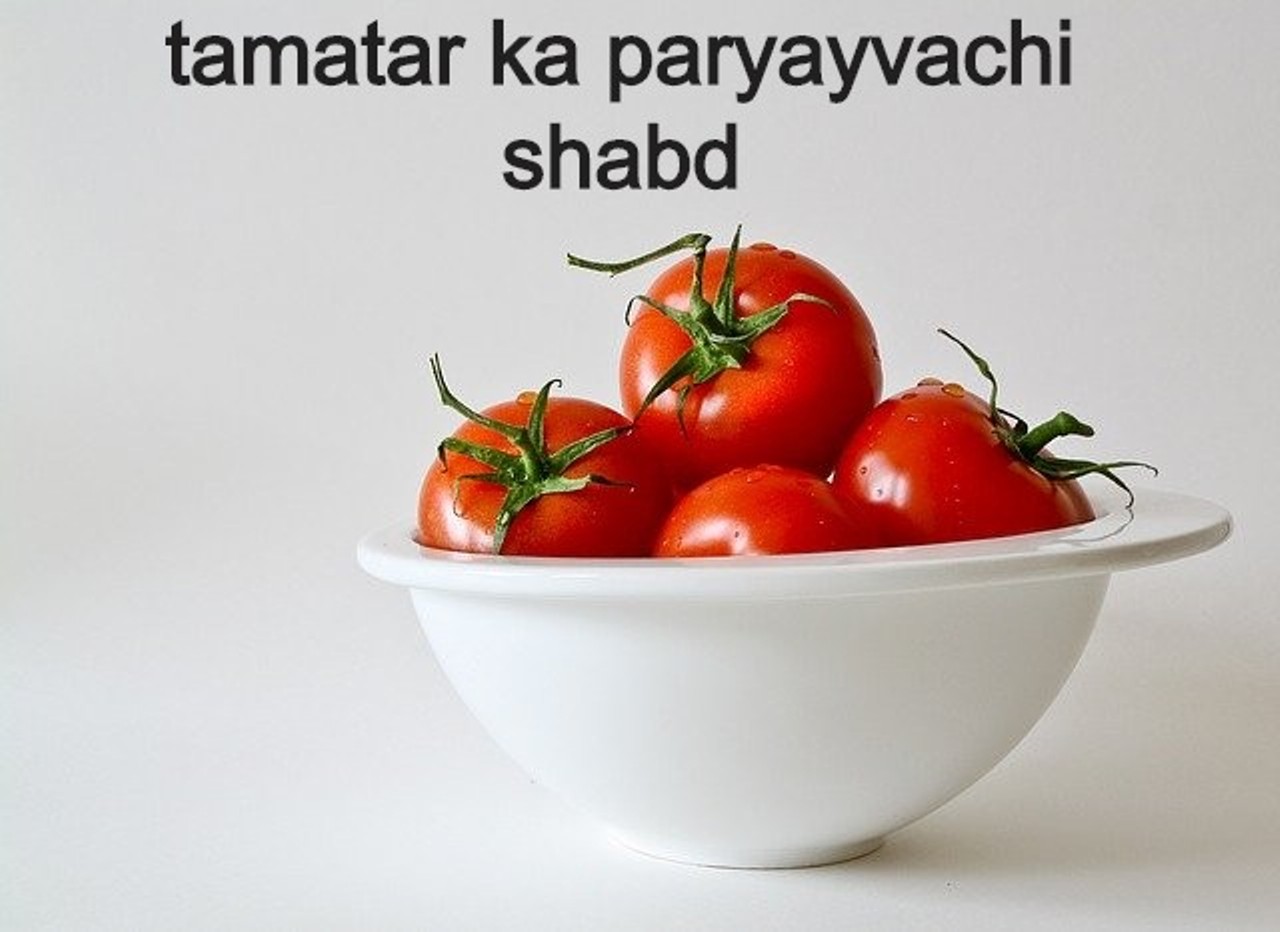 Read more about the article tamatar ka paryayvachi shabd टमाटर का पर्यायवाची