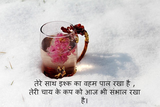 chai par shayari in english