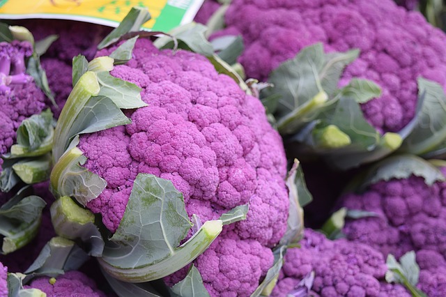 Red Cabbage cauliflower  in hindi