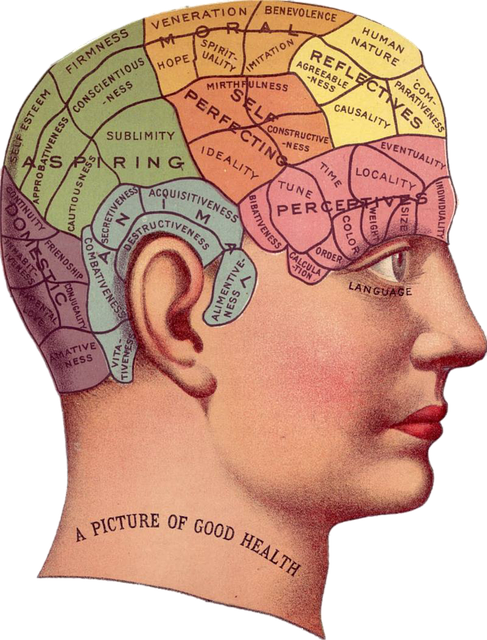 मनुष्य अपने दिमाग का कितना प्रतिशत इस्तेमाल करता है