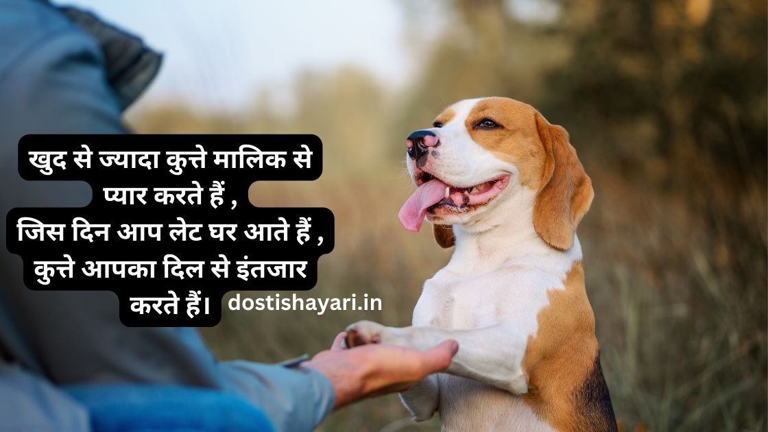 Read more about the article 300 कुत्ते पर ‌‌‌मस्त शायरी दिल बाग बाग कर देगी  dog par shayari