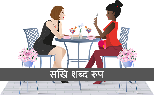 Read more about the article सखि शब्द रूप sakhi shabd roop sanskrit