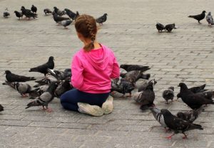 Read more about the article कबूतर को दाना खिलाने के 11 लाभ benefits of feeding pigeons