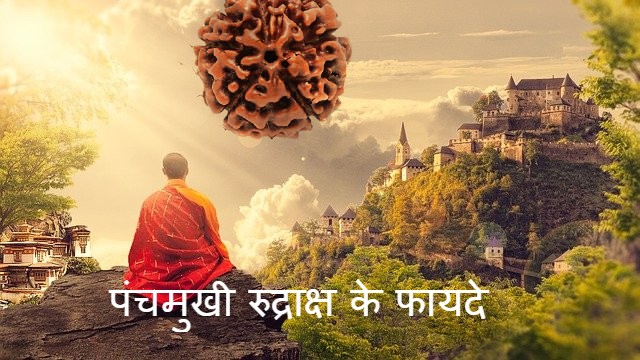 Read more about the article 5 मुखी रुद्राक्ष पहनने के 23 फायदे 5 mukhi rudraksha benefits in hindi