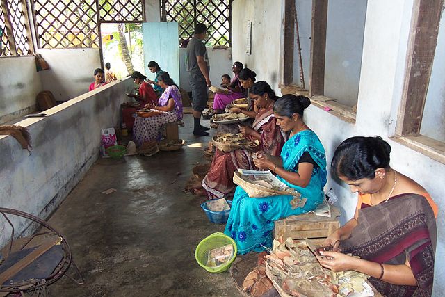 ‌‌‌बीड़ी उधोग के बारे मे संक्षिप्त जानकारी 